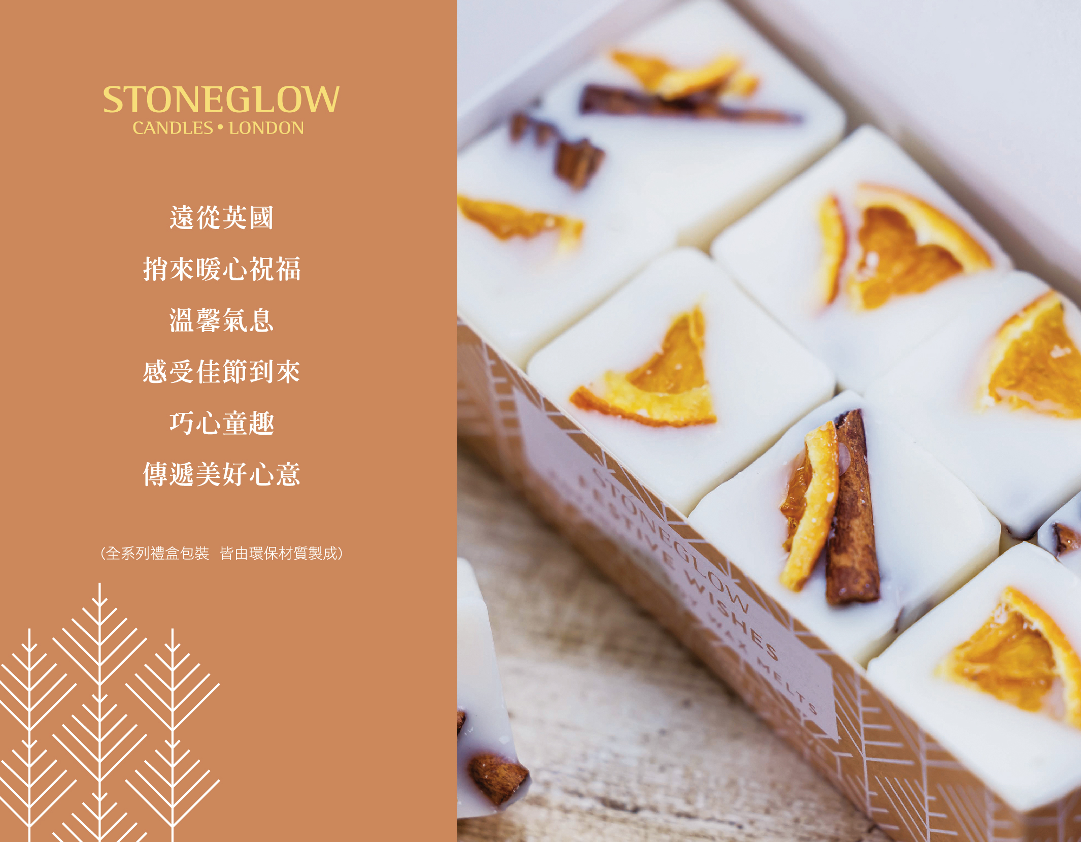 2024 SG+AA年度禮盒DM-out-02.jpg