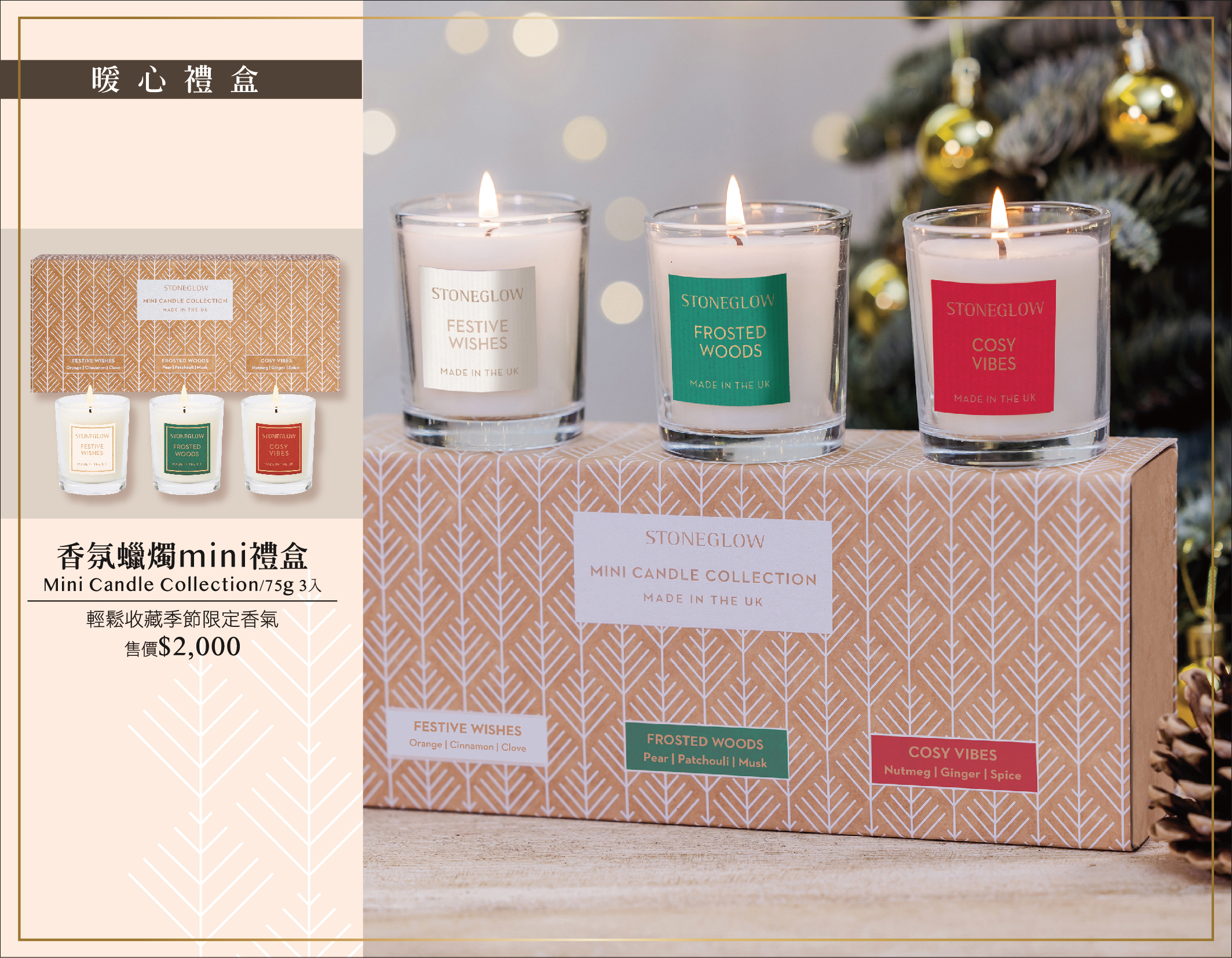 2024 SG+AA年度禮盒DM-out-10.jpg