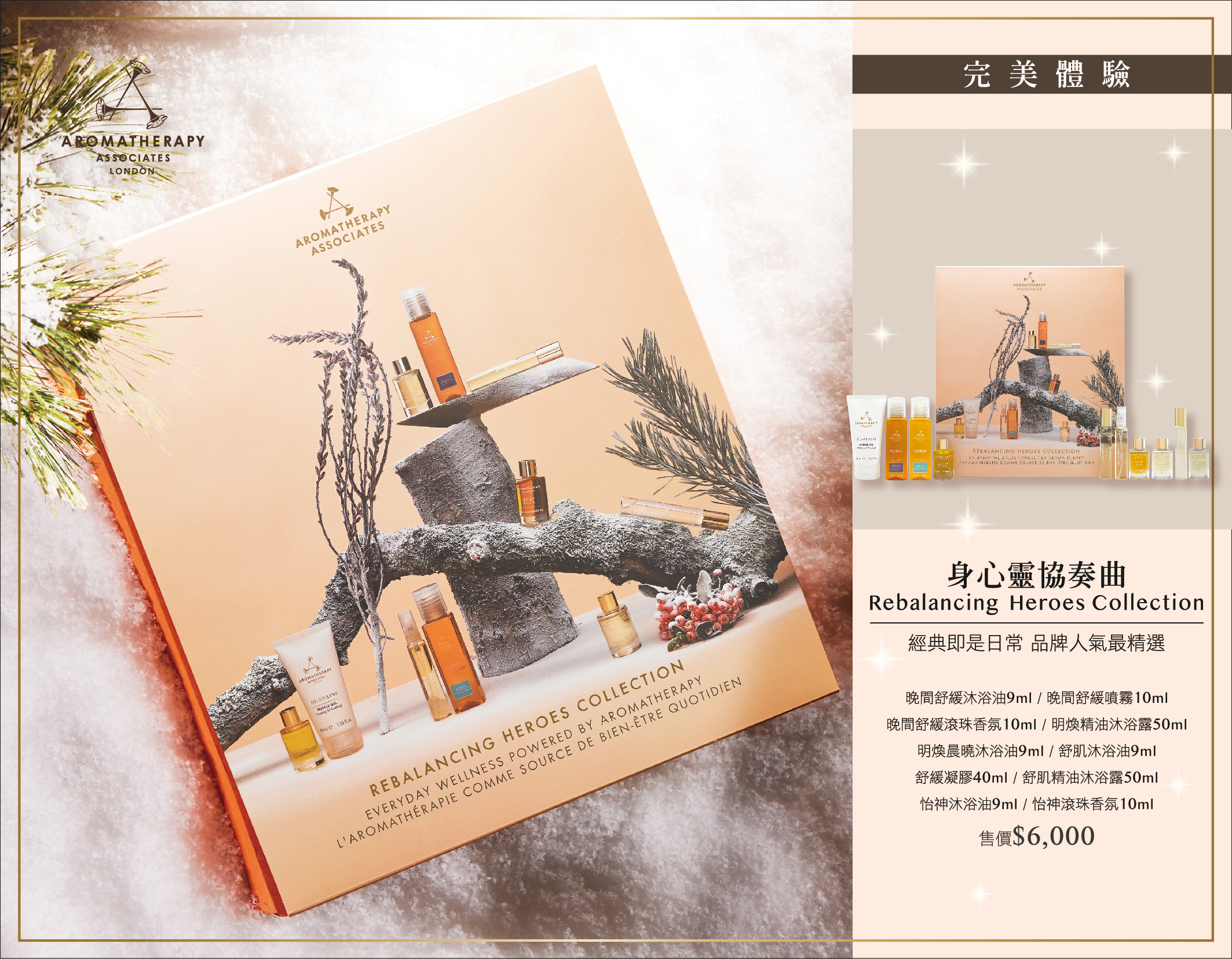 2024 SG+AA年度禮盒DM-out-12.jpg