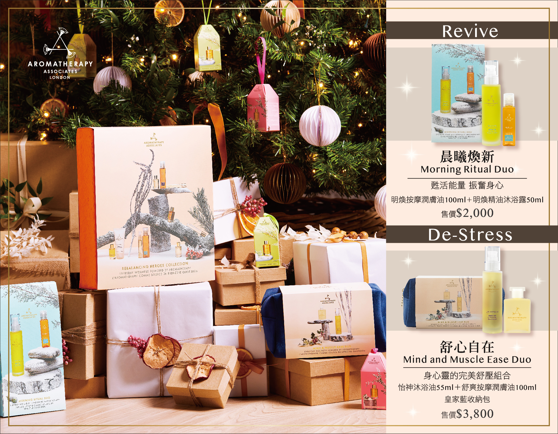 2024 SG+AA年度禮盒DM-out-13.jpg